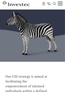 Investec High School Bursary