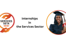 SETA Trainee Programme 2025