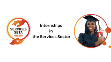 SETA Trainee Programme 2025